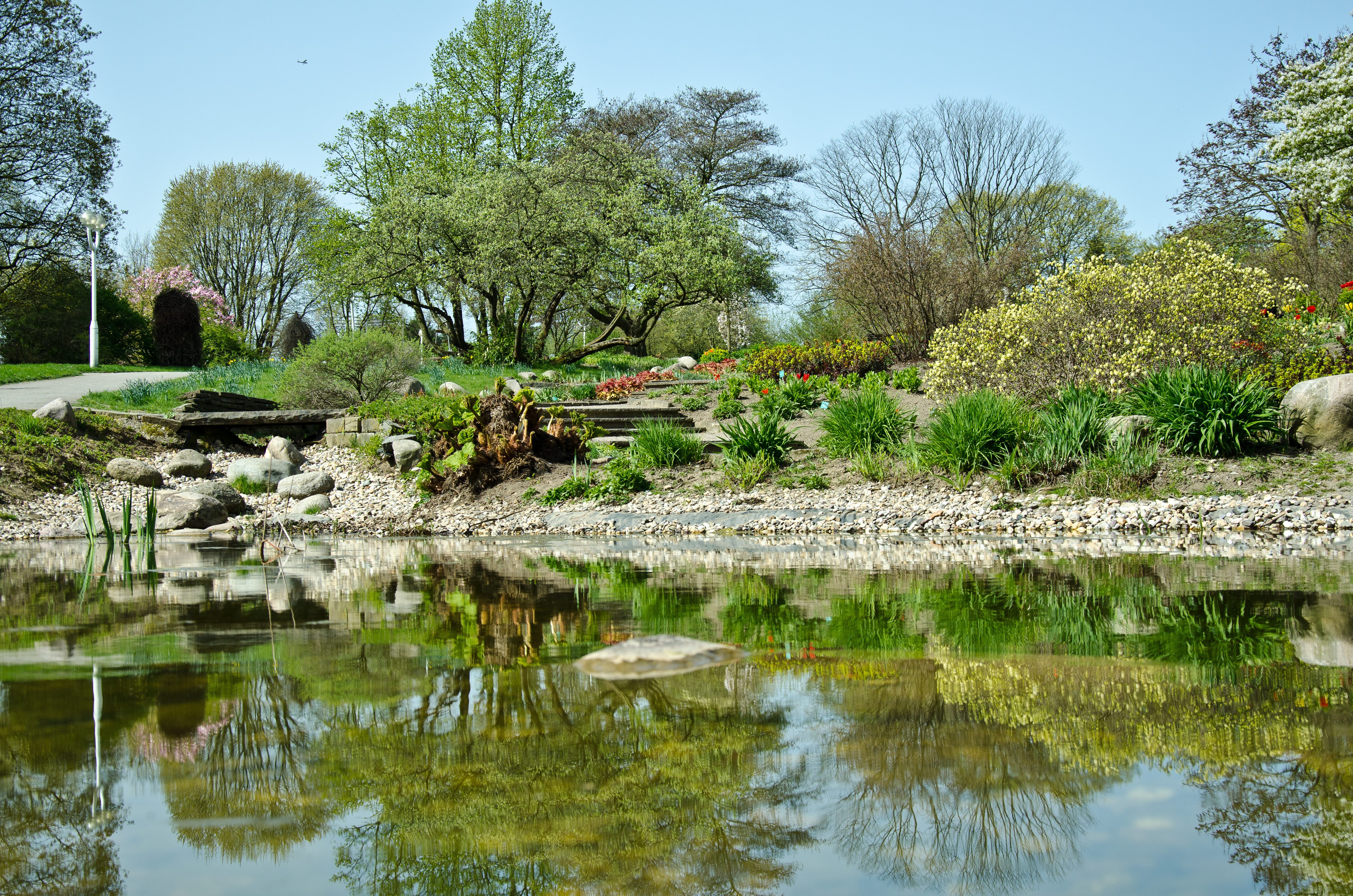 Garten mit Teich, Steinen, Blumenbeeten und Bäumen an einem sonnigen Tag.