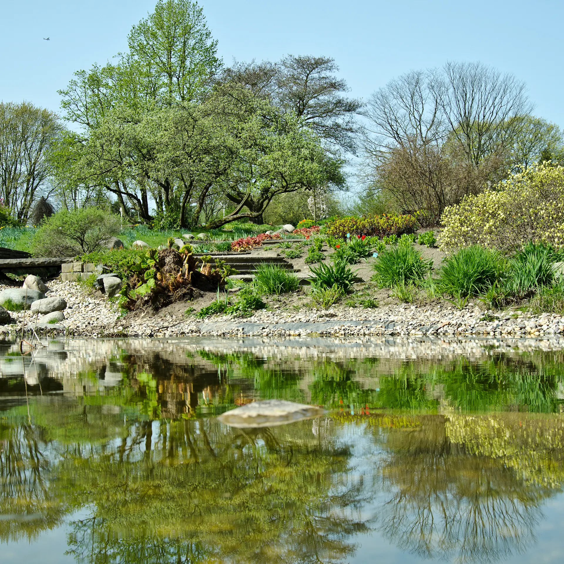 Garten mit Teich, Steinen, Blumenbeeten und Bäumen an einem sonnigen Tag.