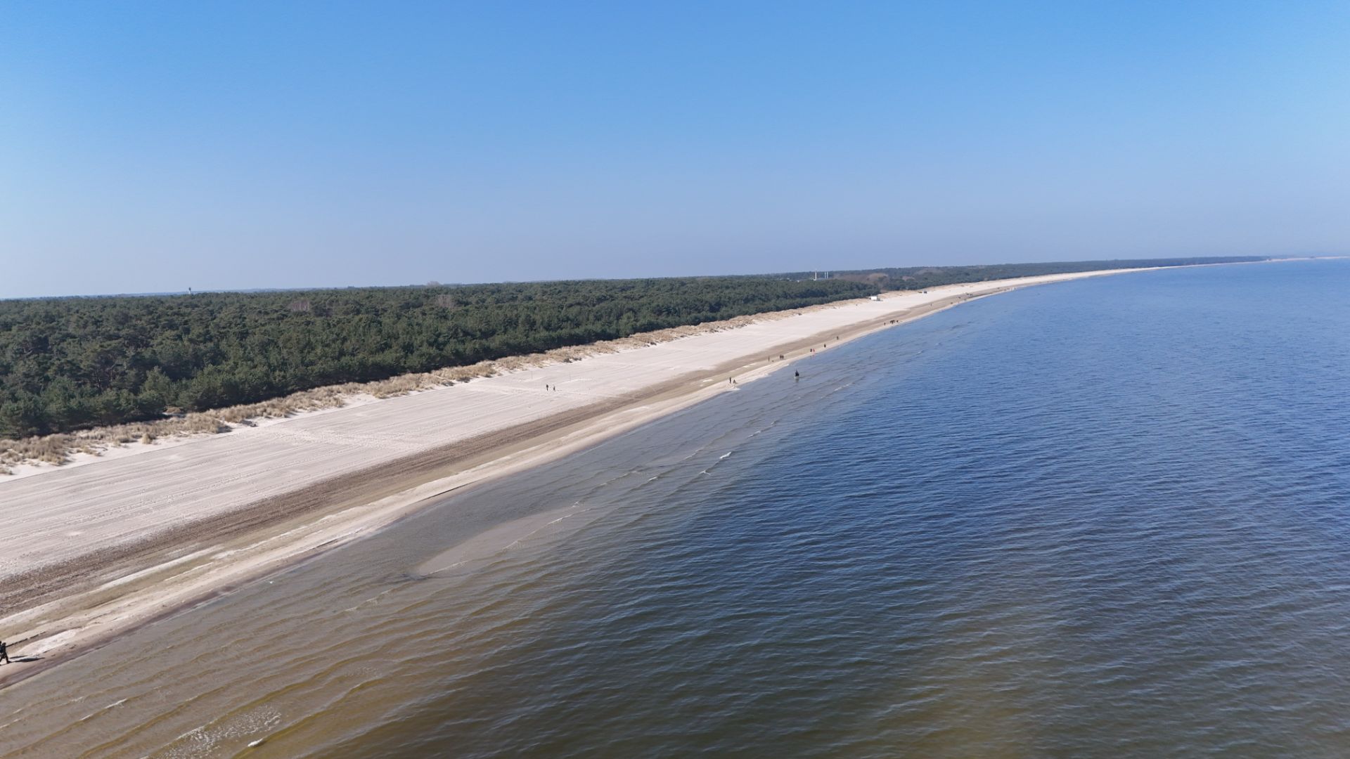 Langer Sandstrand mit angrenzendem Wald und ruhigem Meer bei klarem Himmel.