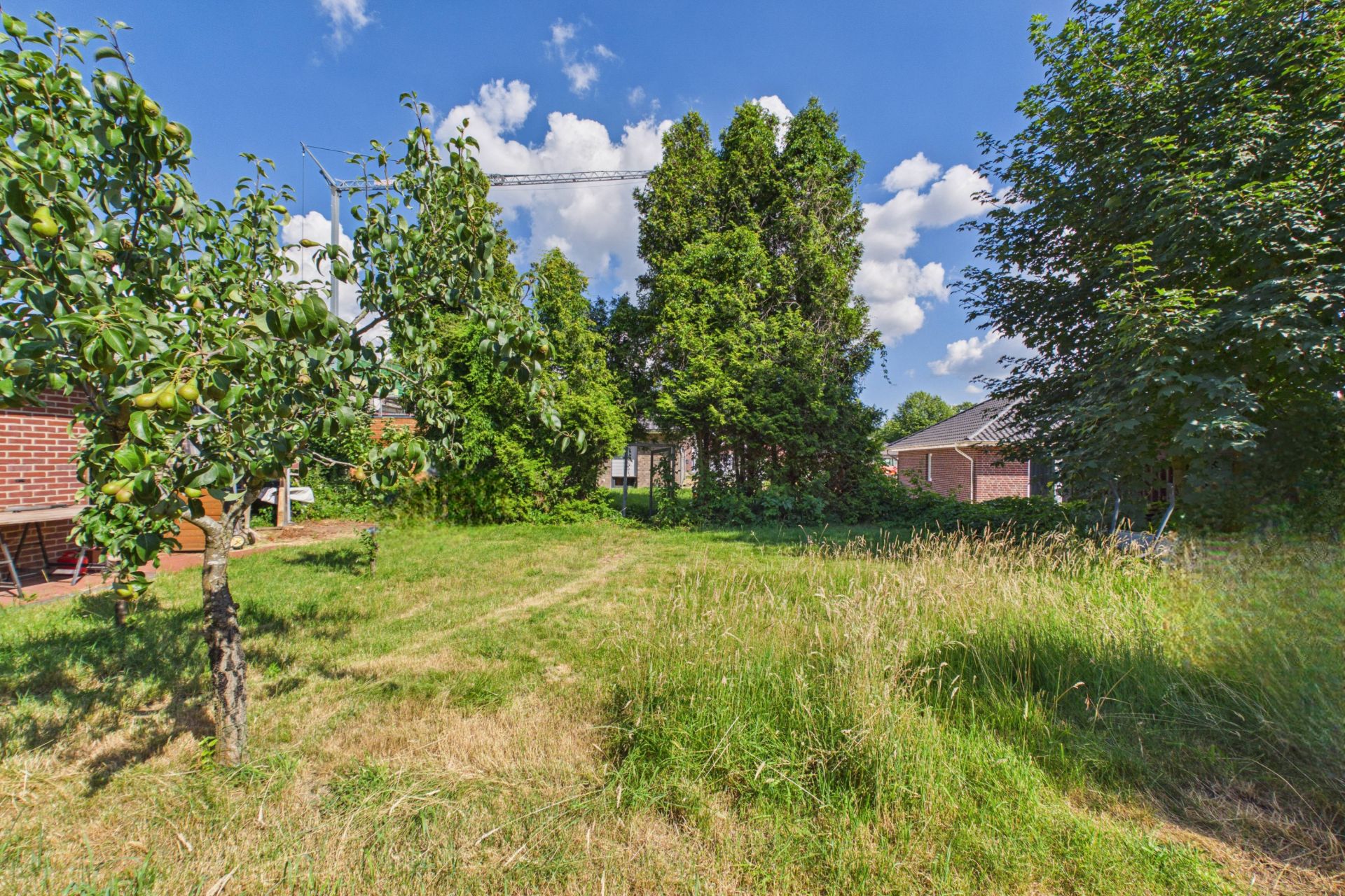 Grüner Garten mit Gras, Bäumen und Sträuchern, daneben ein Backsteingebäude.