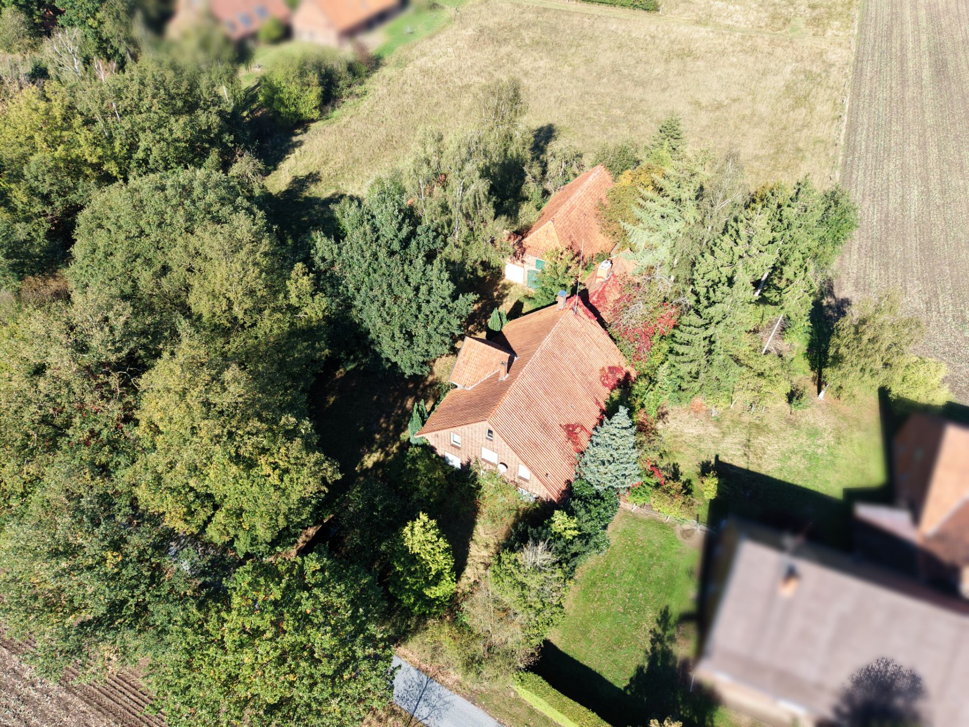 Luftaufnahme eines Hauses mit rotem Dach, umgeben von Bäumen und Garten.