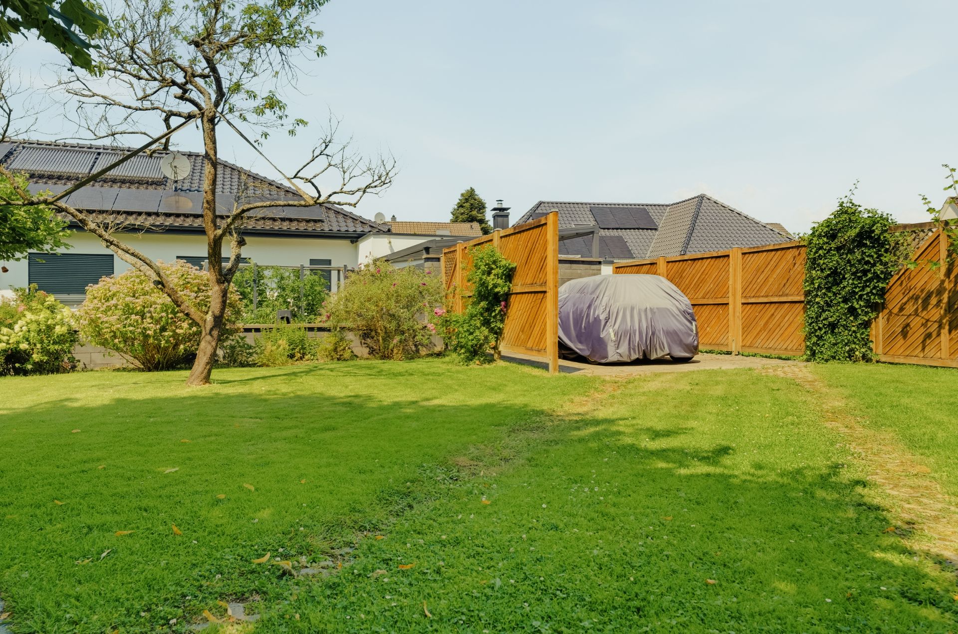Gepflegter Garten mit Baum, Hecke, Rasenfläche und Holzzaun, ein abgedeckter Gegenstand im Eck.