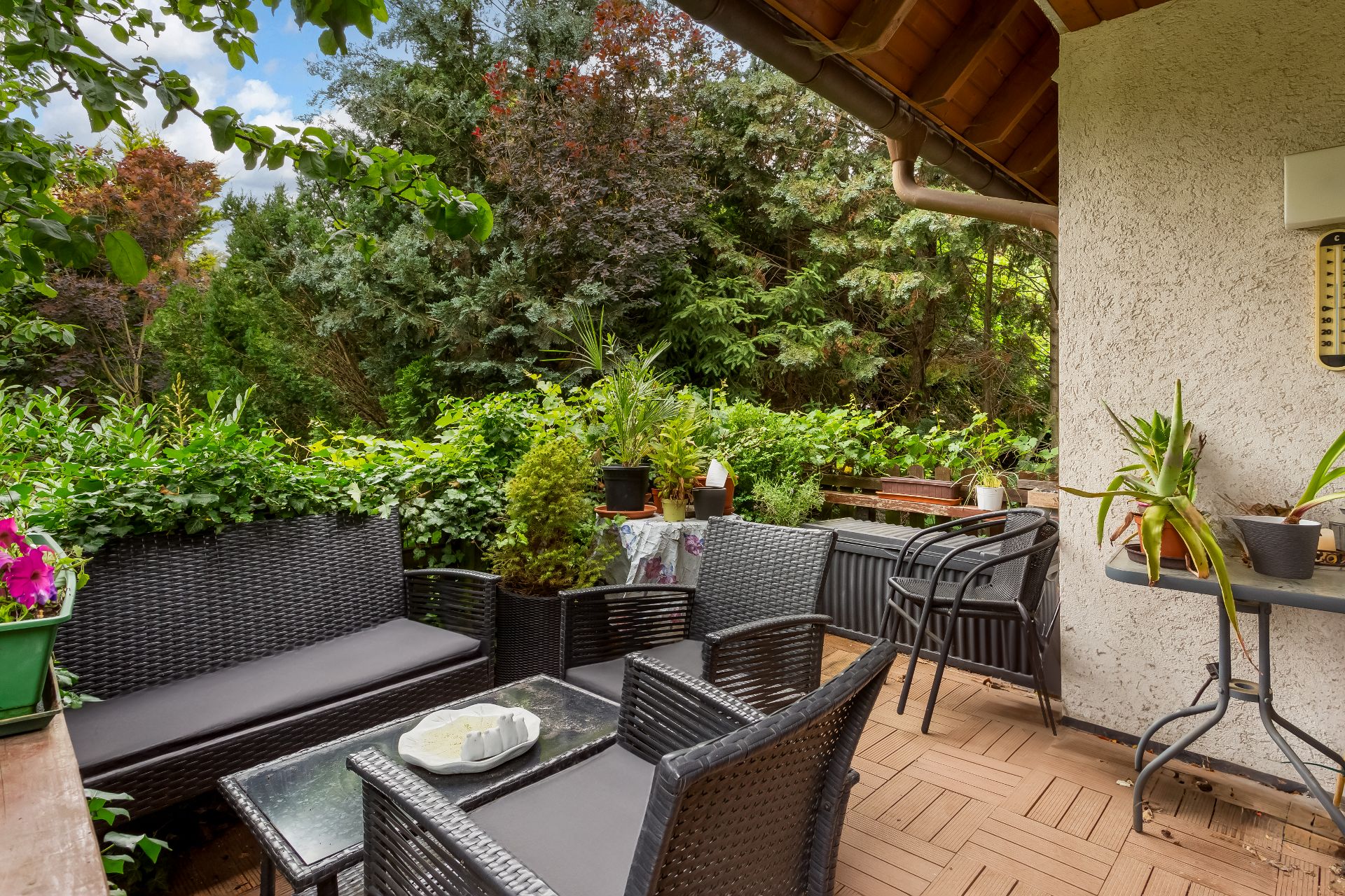 Gemütliche Terrasse mit Rattanmöbeln, Pflanzen und Blick auf dichte Bäume im Garten.