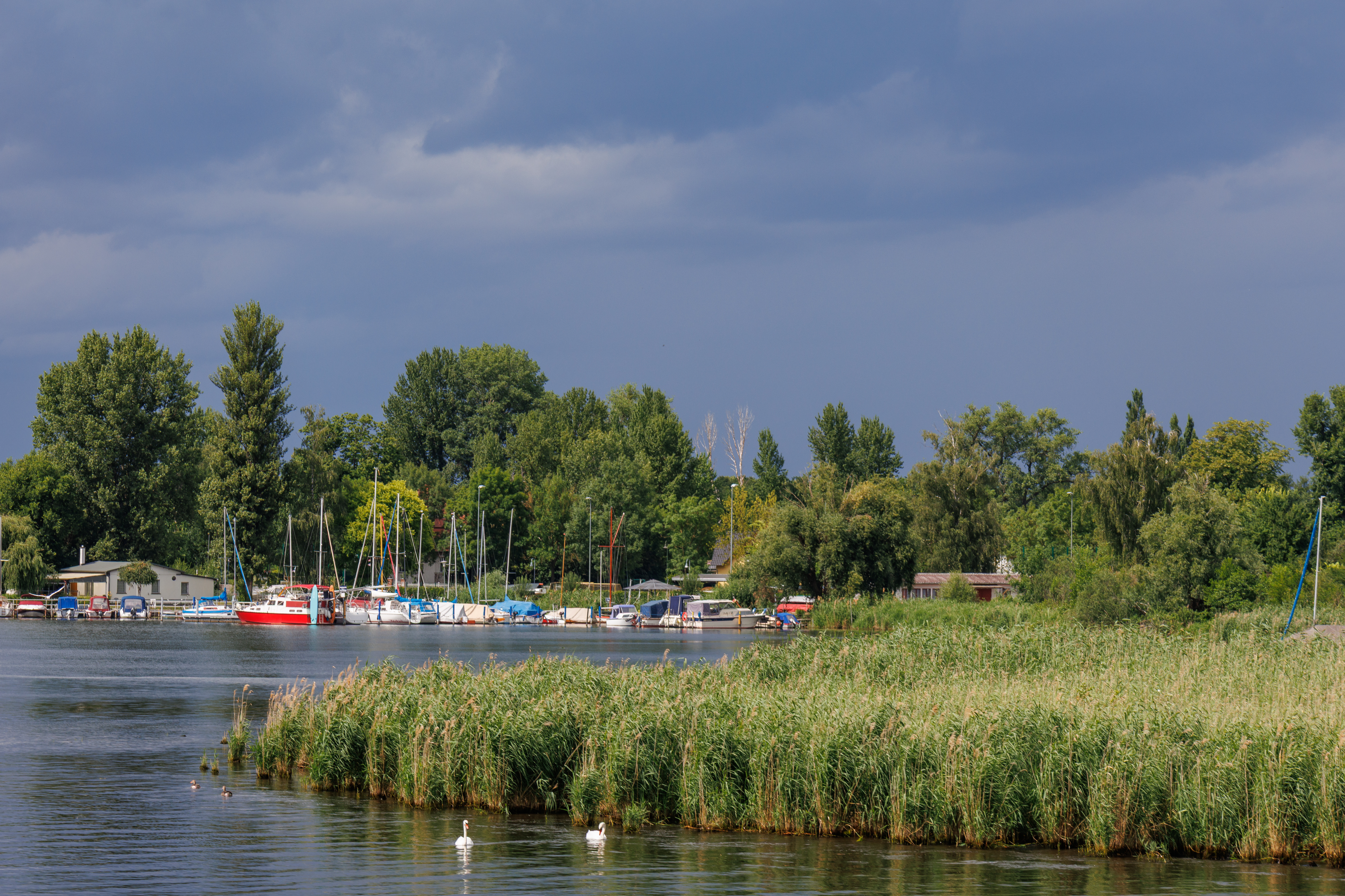 Ein Fluss mit Booten am Steg, viel Grün und Bäume im Hintergrund.