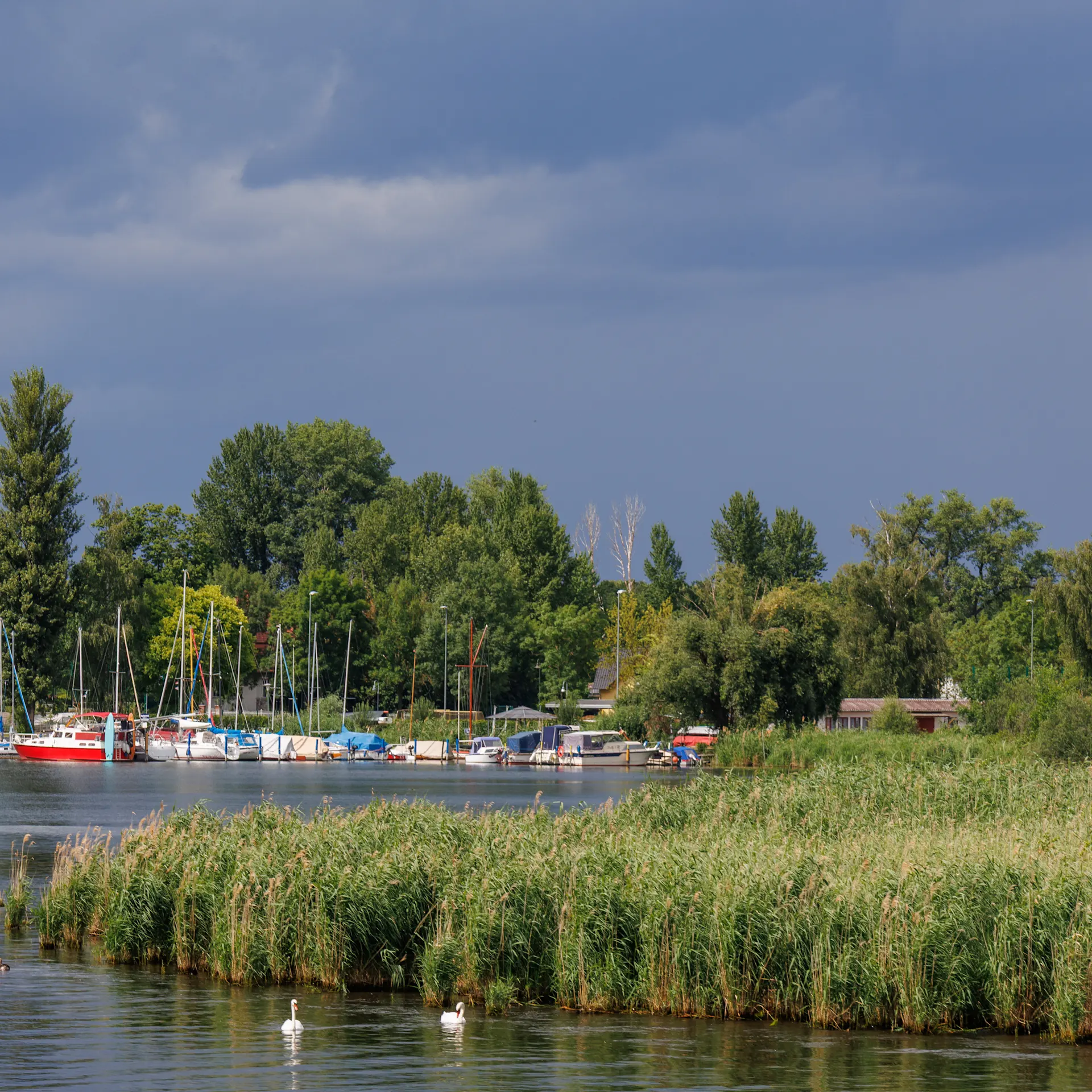 Ein Fluss mit Booten am Steg, viel Grün und Bäume im Hintergrund.