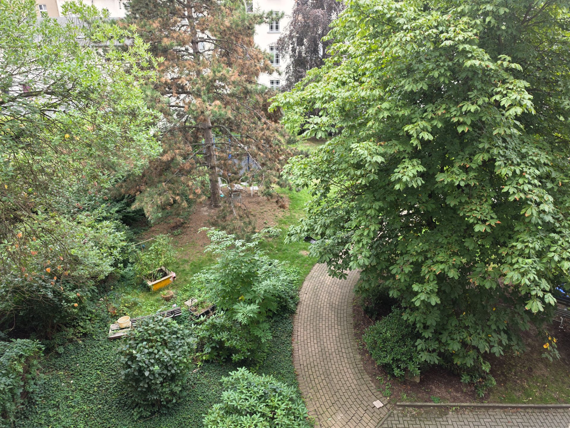 Gepflegter Garten mit vielen Bäumen, Sträuchern und einem geschwungenen Gehweg.