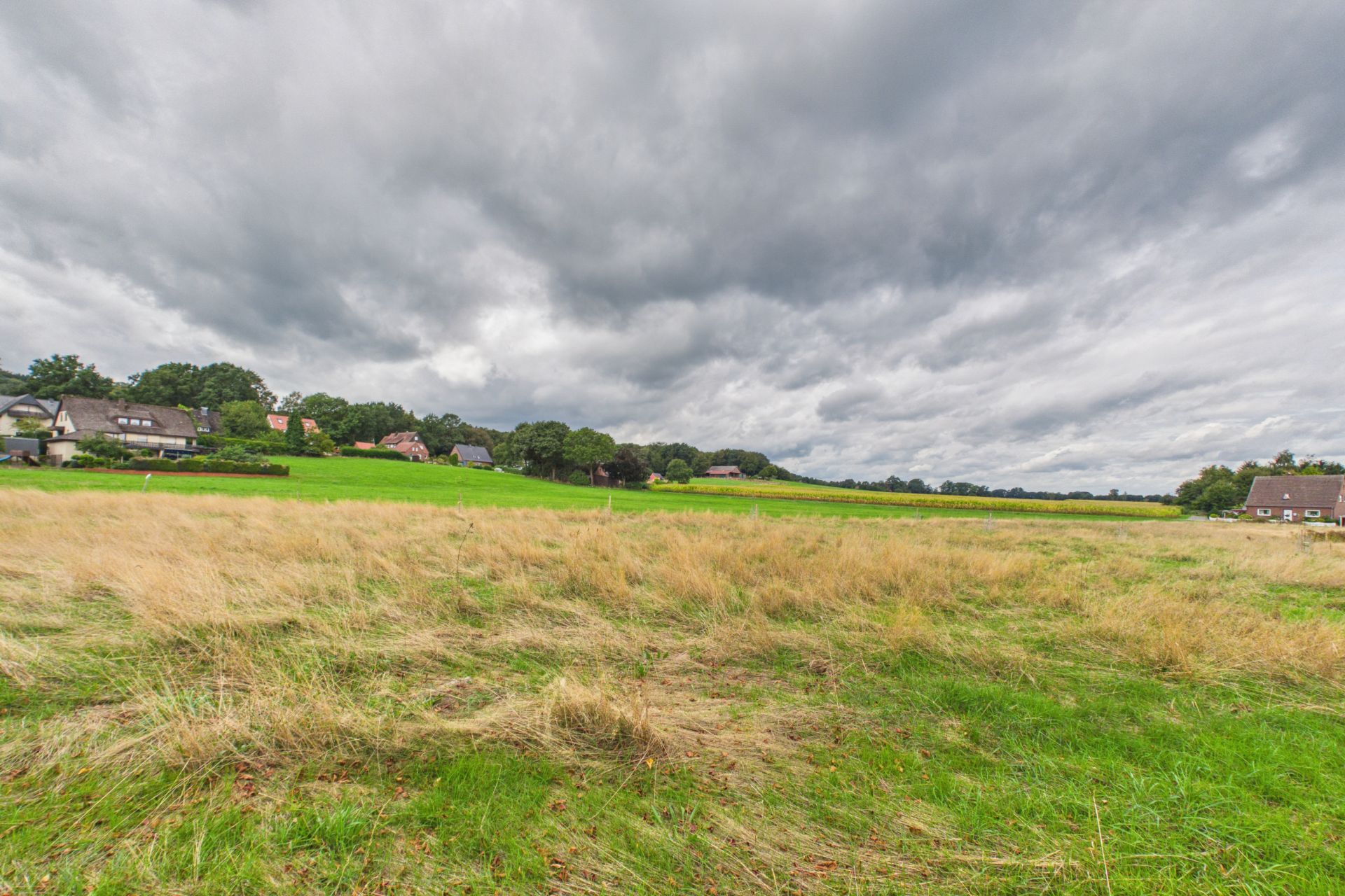 Große Wiese mit einigen Häusern im Hintergrund unter bewölktem Himmel.