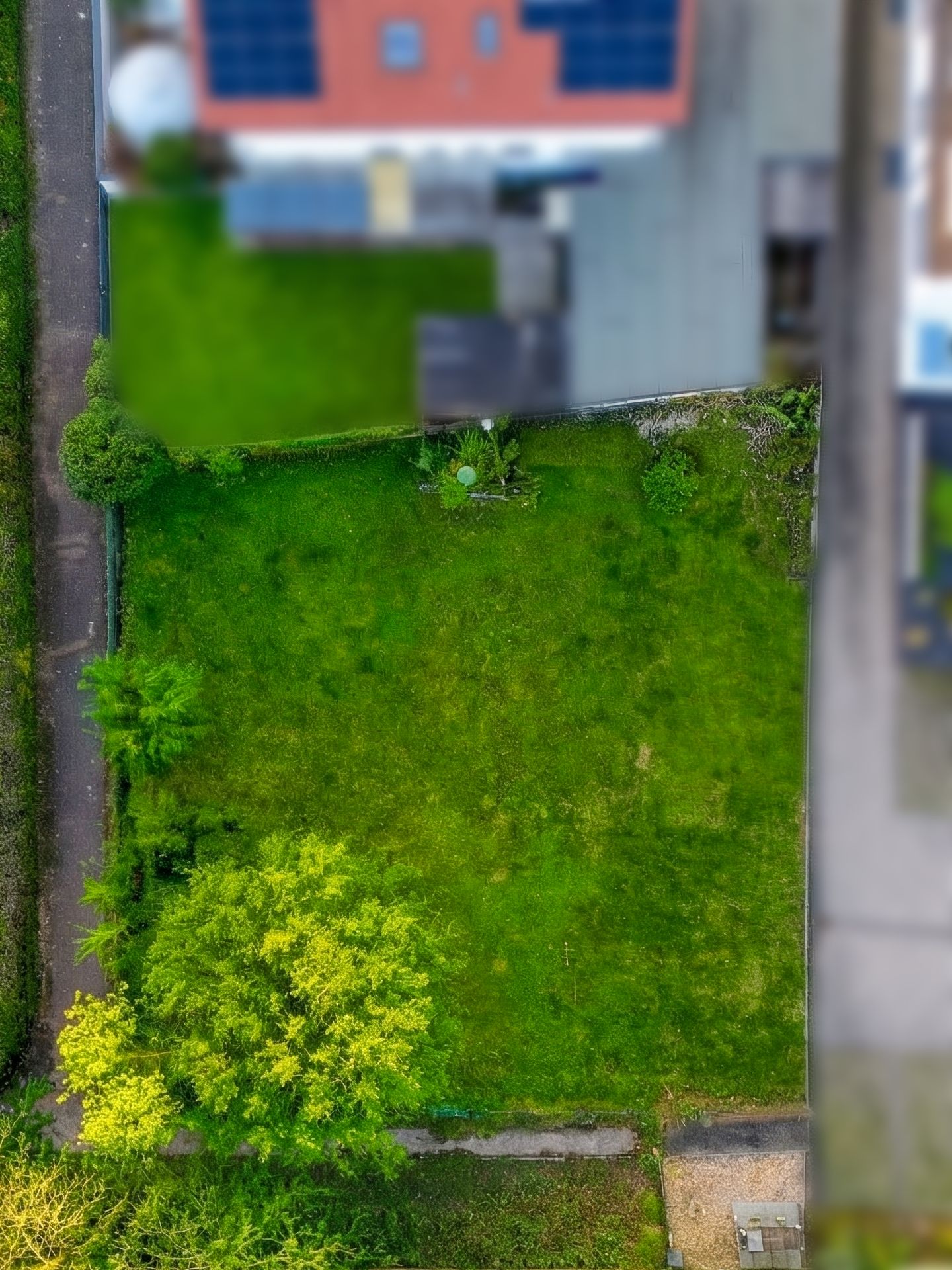 Luftaufnahme eines rechteckigen grünen Gartengrundstücks mit wenigen Bäumen und Büschen.