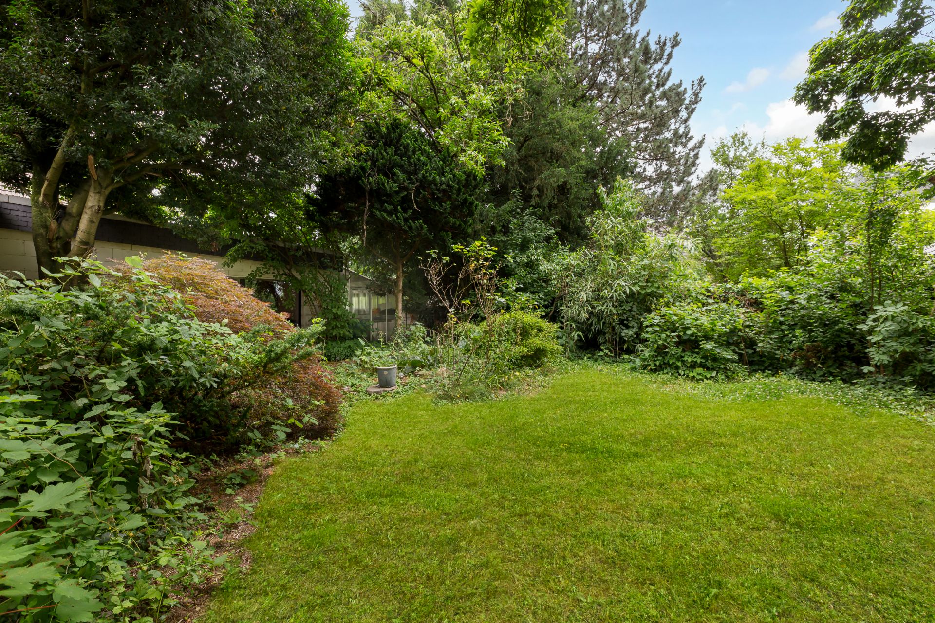 Grüner Garten mit Rasenfläche und vielen Büschen sowie Bäumen im Hintergrund.