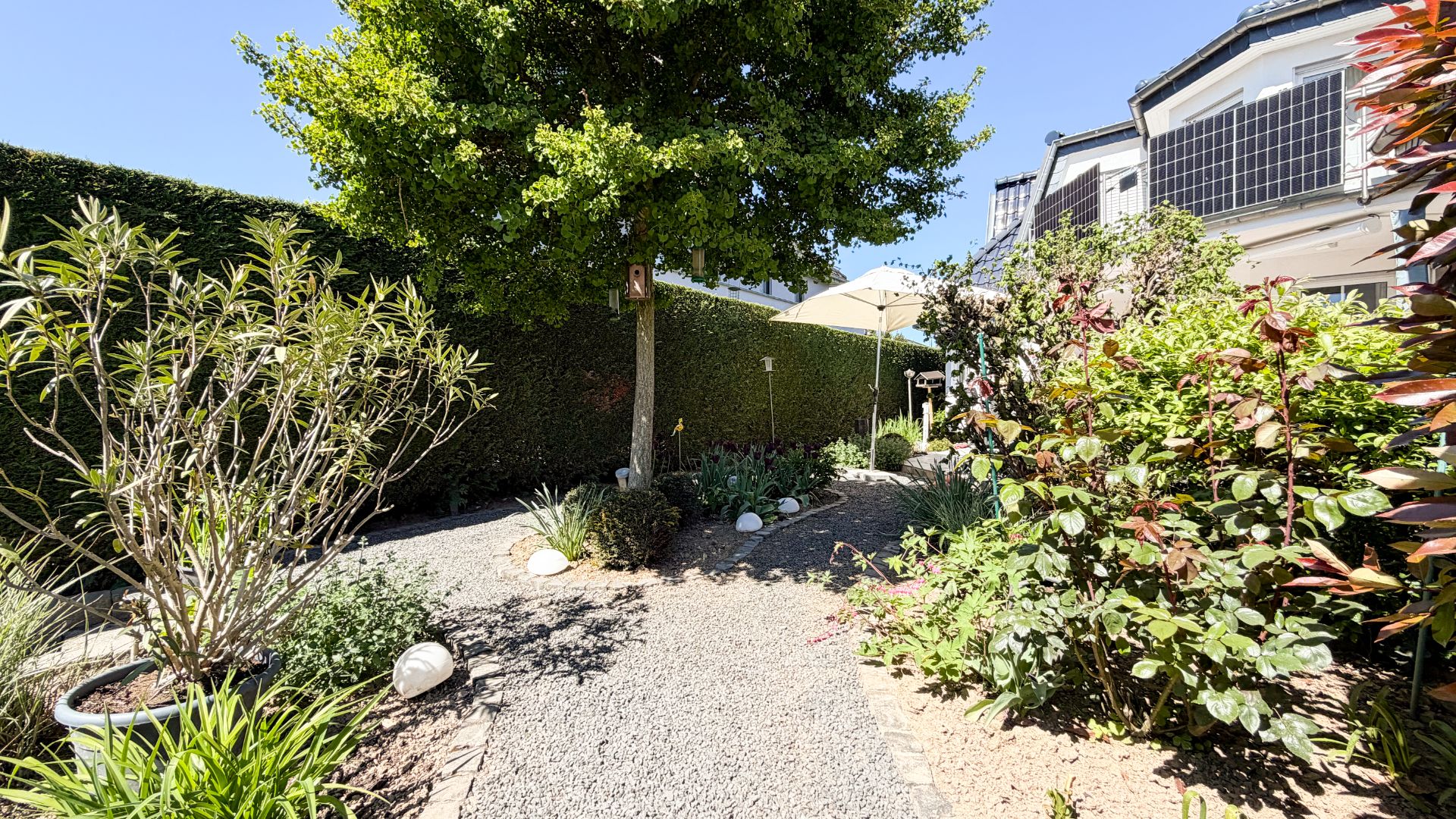 Gepflegter Garten mit Kiesweg, Sträuchern, Bäumen und einem weißen Haus im Hintergrund.