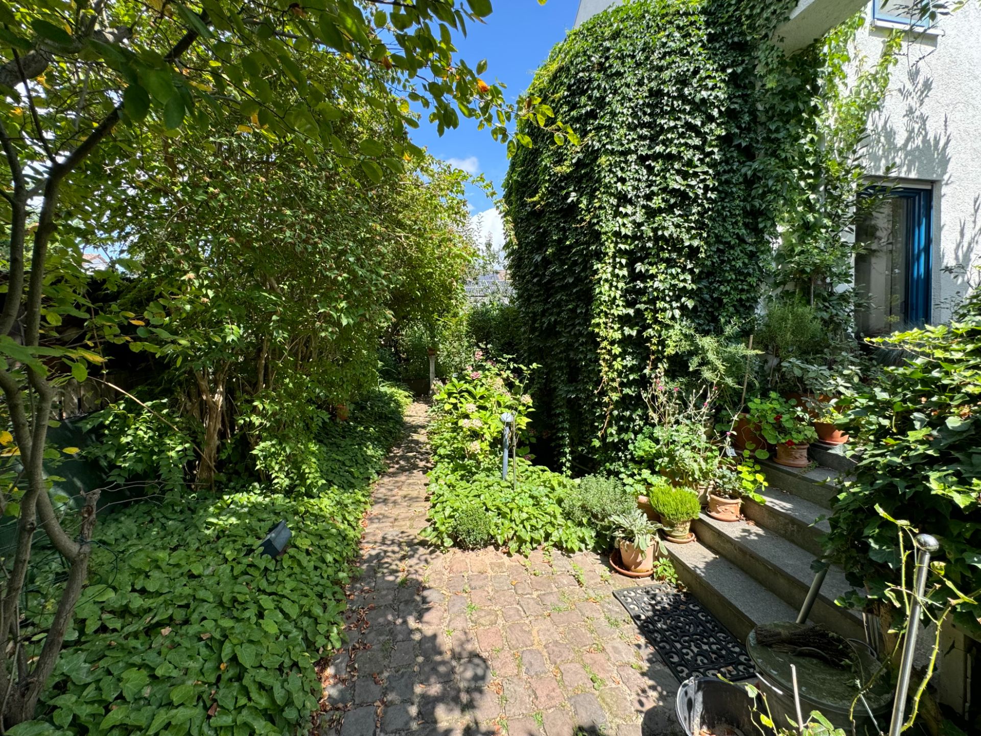 Gepflasterter Gartenweg neben einem Haus mit vielen Pflanzen und Treppenaufgang.