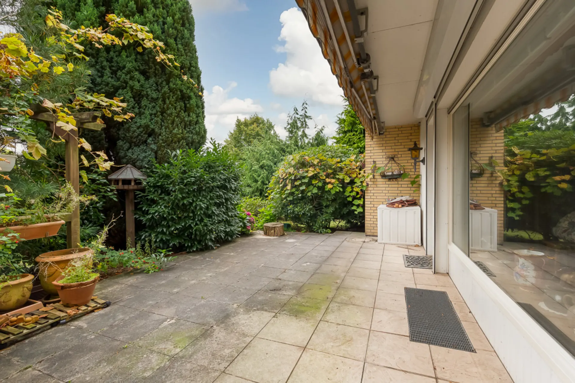 Geflieste Terrasse mit Pflanzen, großen Sträuchern und Spiegelung im Fenster einer Hauswand.