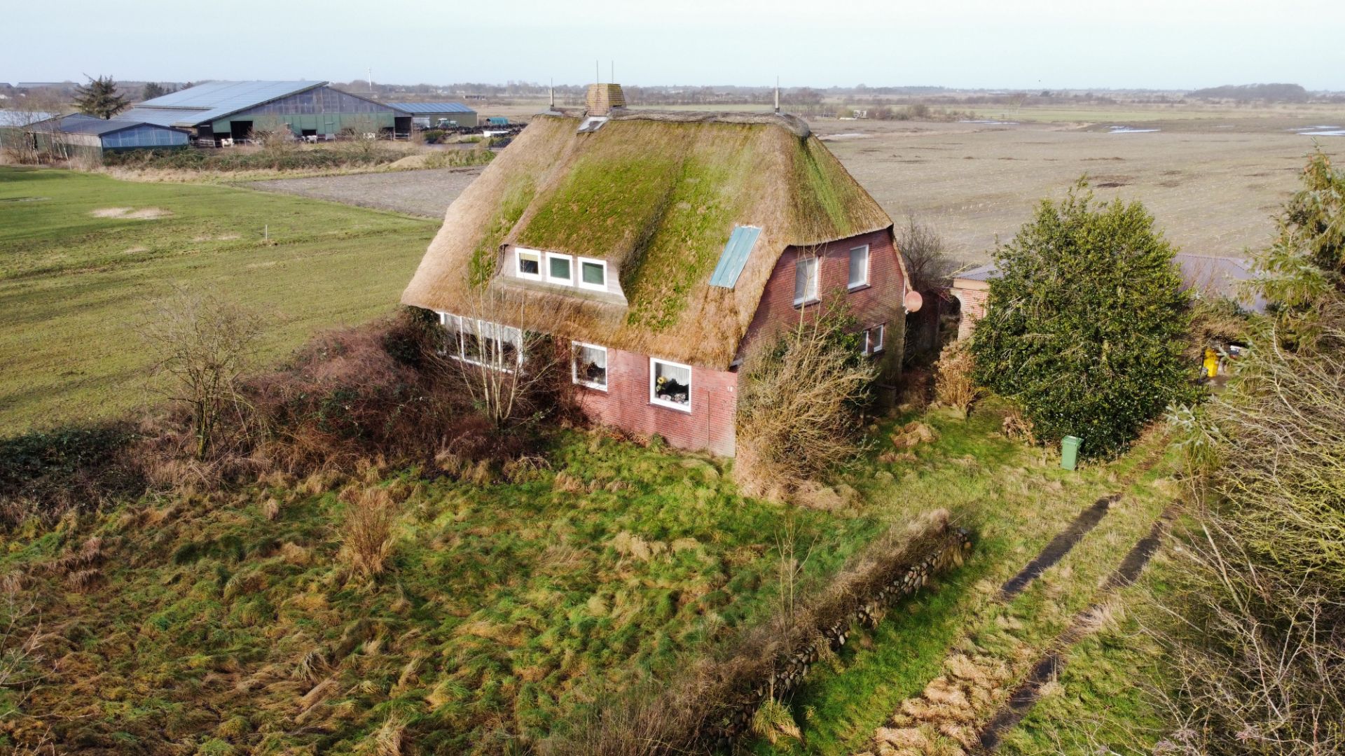 Altes Haus mit Reetdach und vielen Fenstern, umgeben von hohem Gras und Büschen auf dem Land.