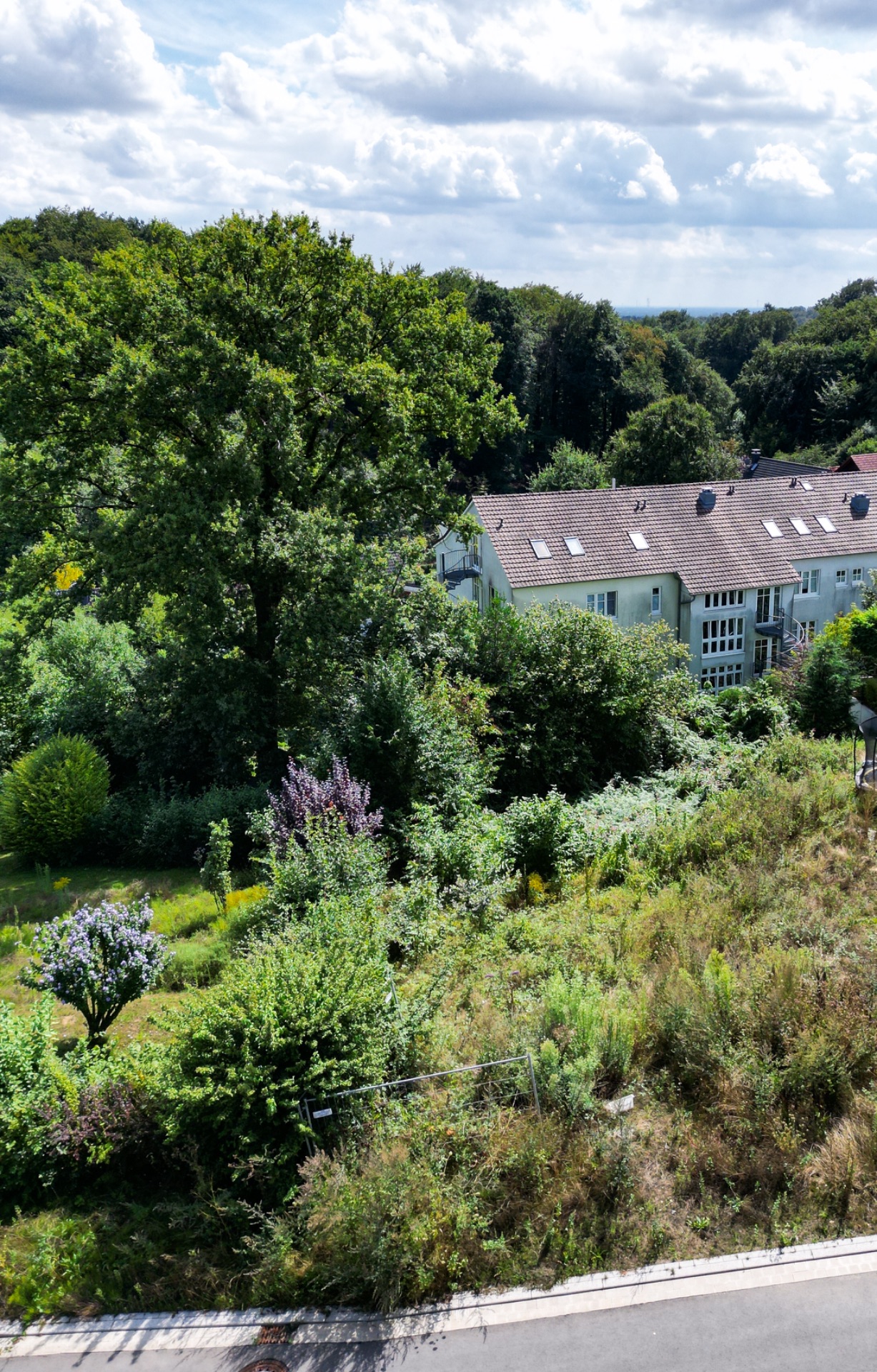 Blick auf ein Wohnhaus hinter einem großen Garten mit Bäumen und Sträuchern.