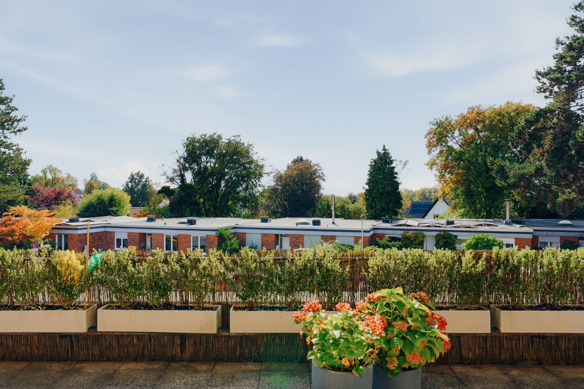 Blick von einer Terrasse mit Blumenkübeln auf eine Hecke und Wohnhäuser im Hintergrund.