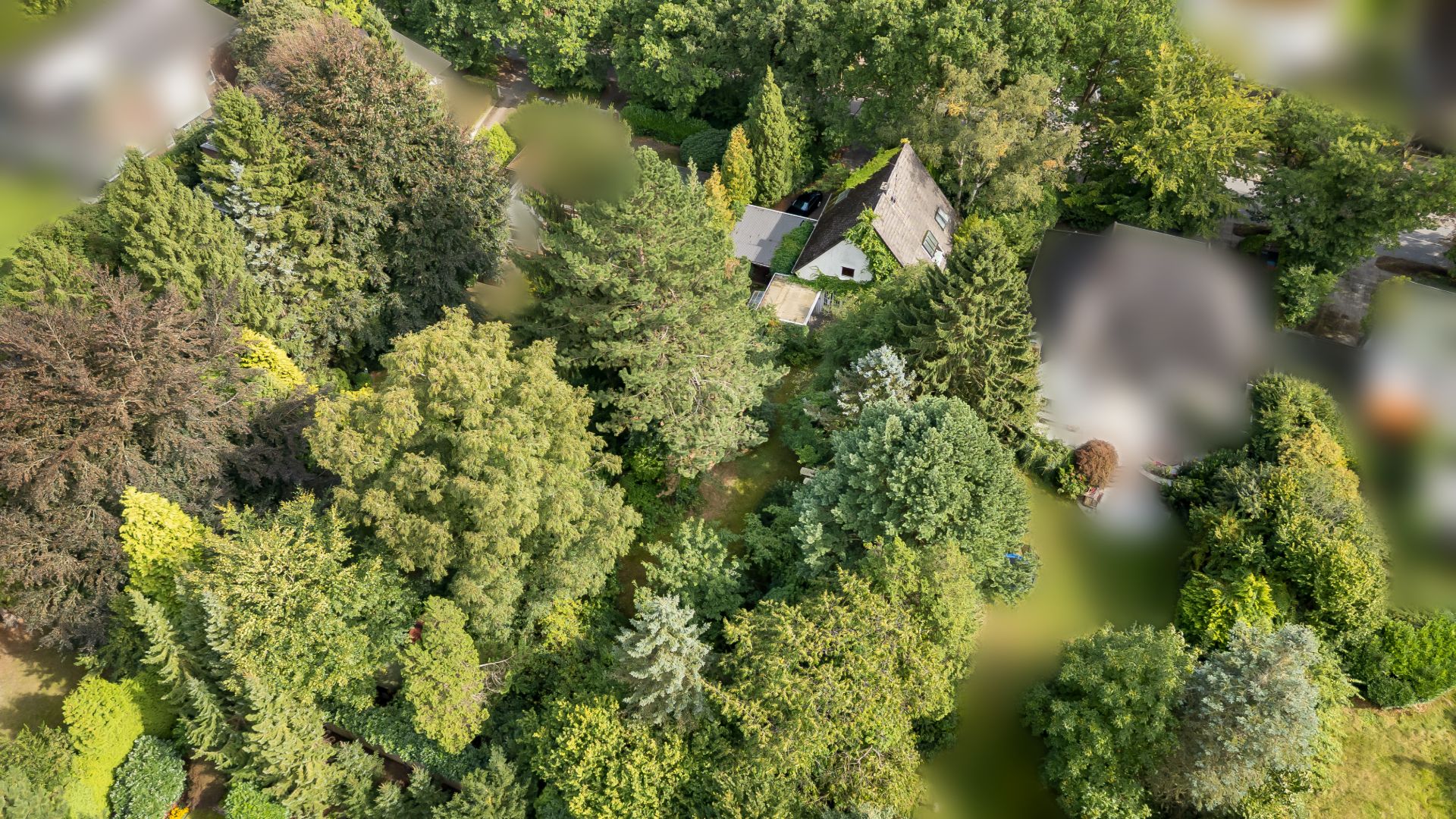 Luftaufnahme eines Hauses inmitten vieler großer, grüner Bäume und dichtem Garten.