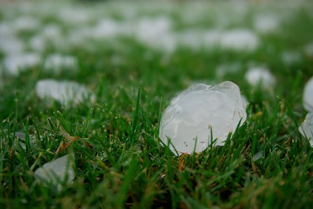 Icy hailstones on grass 