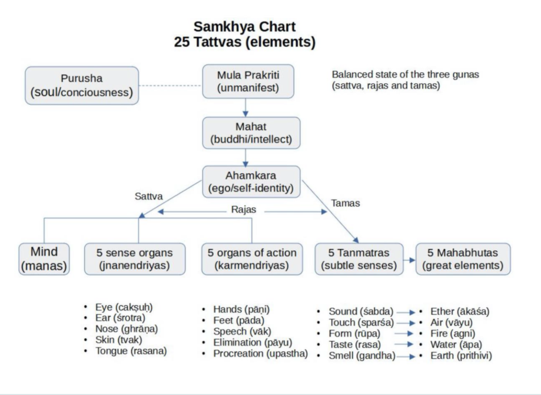 Media - Samkhya Chart
