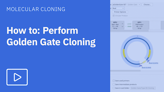 Golden Gate Cloning