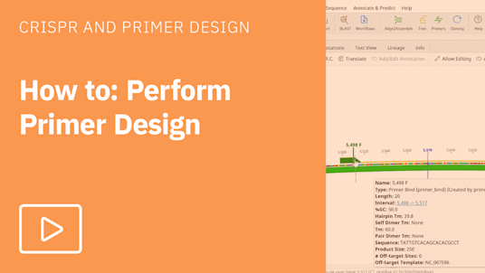 Primer Design