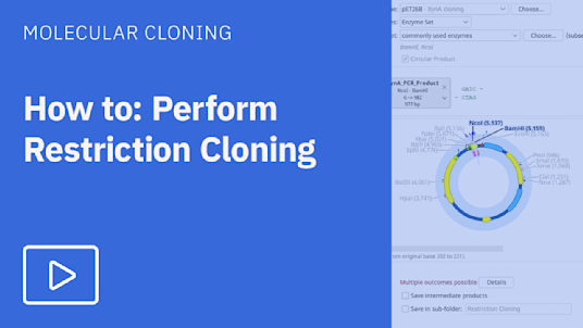 Restriction Cloning