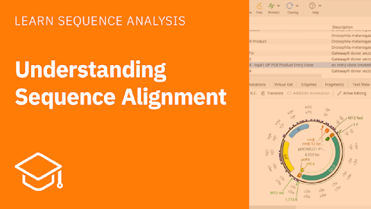 Understanding Sequence Alignment