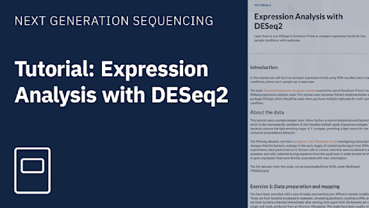 Expression Analysis with DESeq2