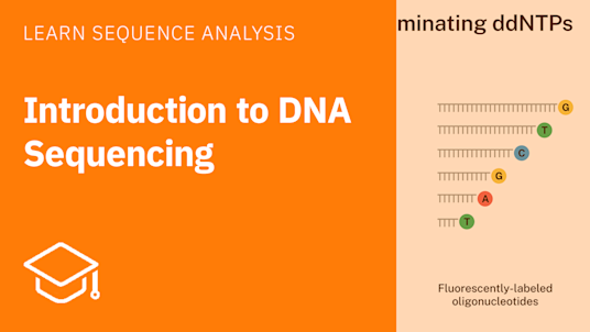 Introduction to DNA Sequencing