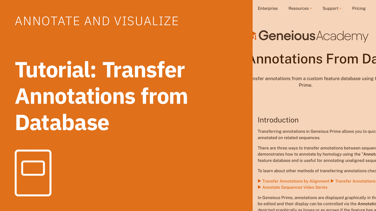 Transfer Annotations From Database