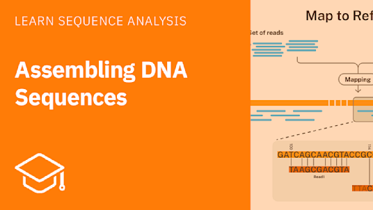 Assembling Your DNA Sequences