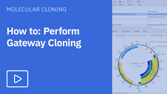 Gateway Cloning