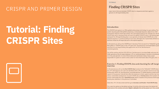 Finding CRISPR Sites