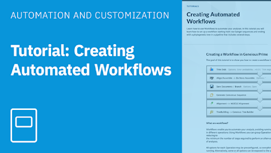 Practice Building Automated Workflows
