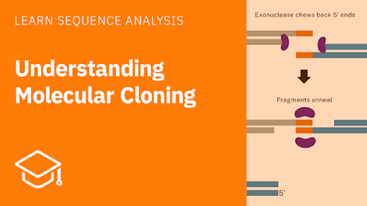 Introduction to Molecular Cloning Methods