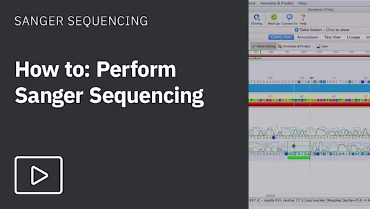 Sanger Sequence Analysis