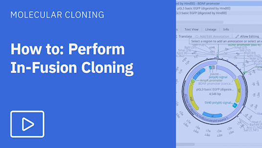 In-Fusion Cloning