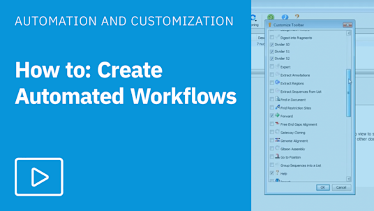 Creating Automated Workflows