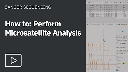 Microsatellite Analysis