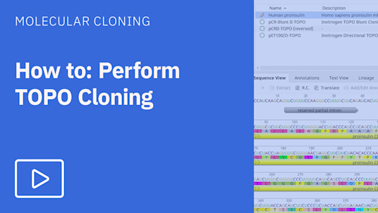 TOPO Cloning