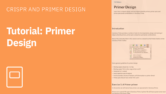Practice Primer Design