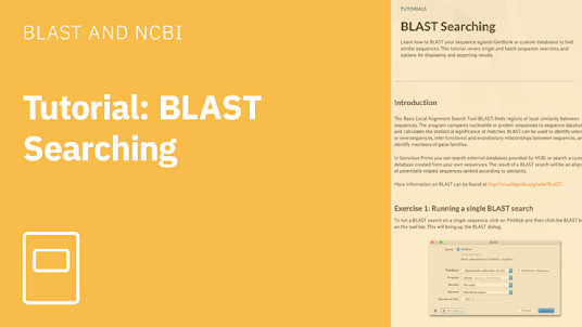 BLAST Searching