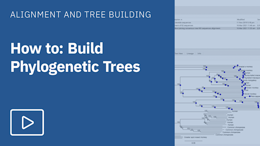 Phylogenetic Trees