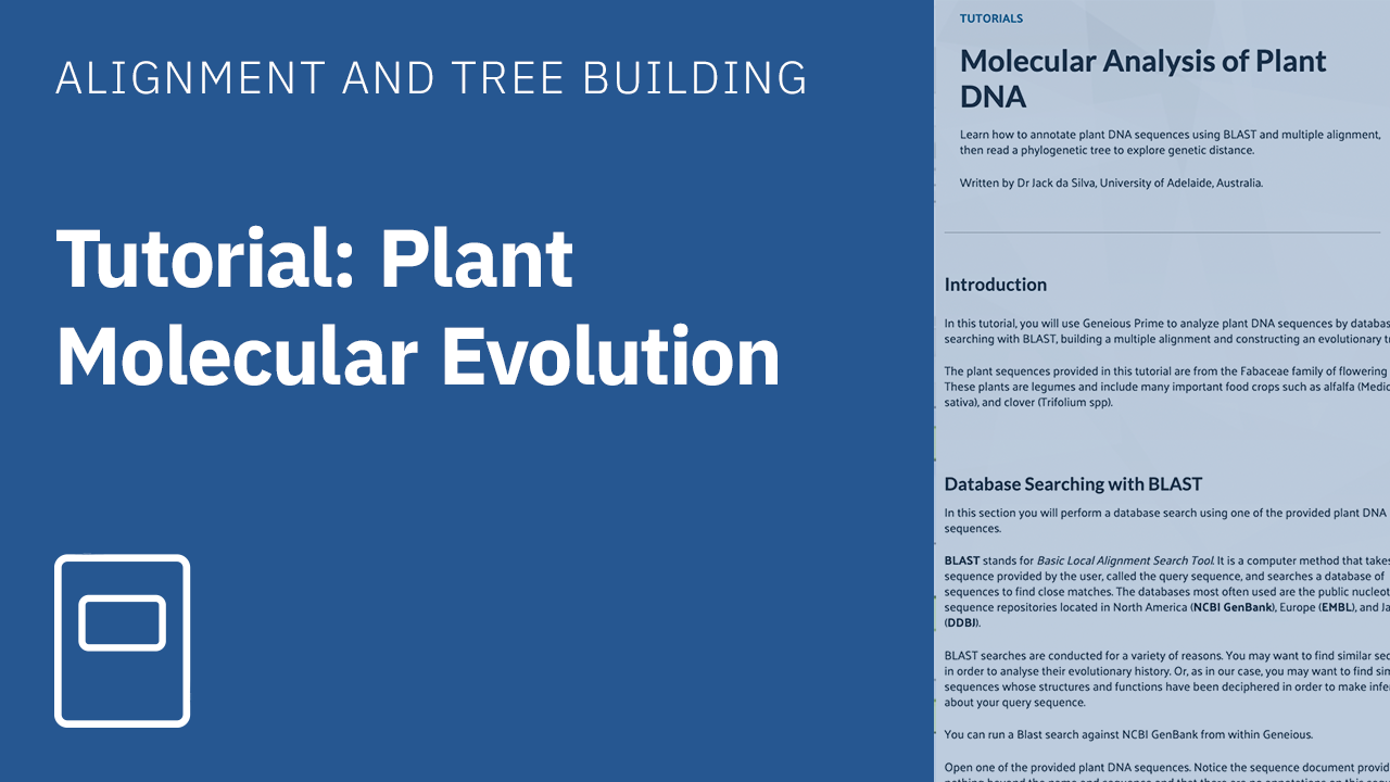 Molecular Analysis of Plant DNA