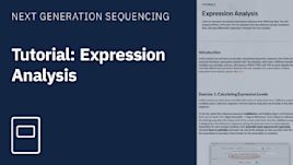 Practice Expression Analysis
