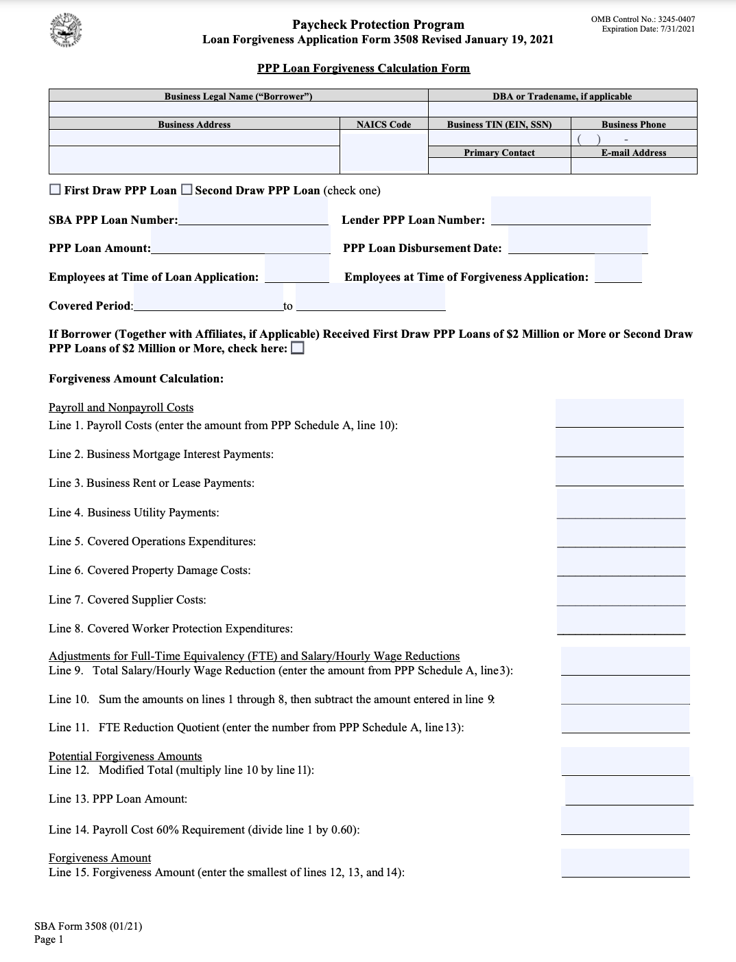 PPP Form 3508 (2021)