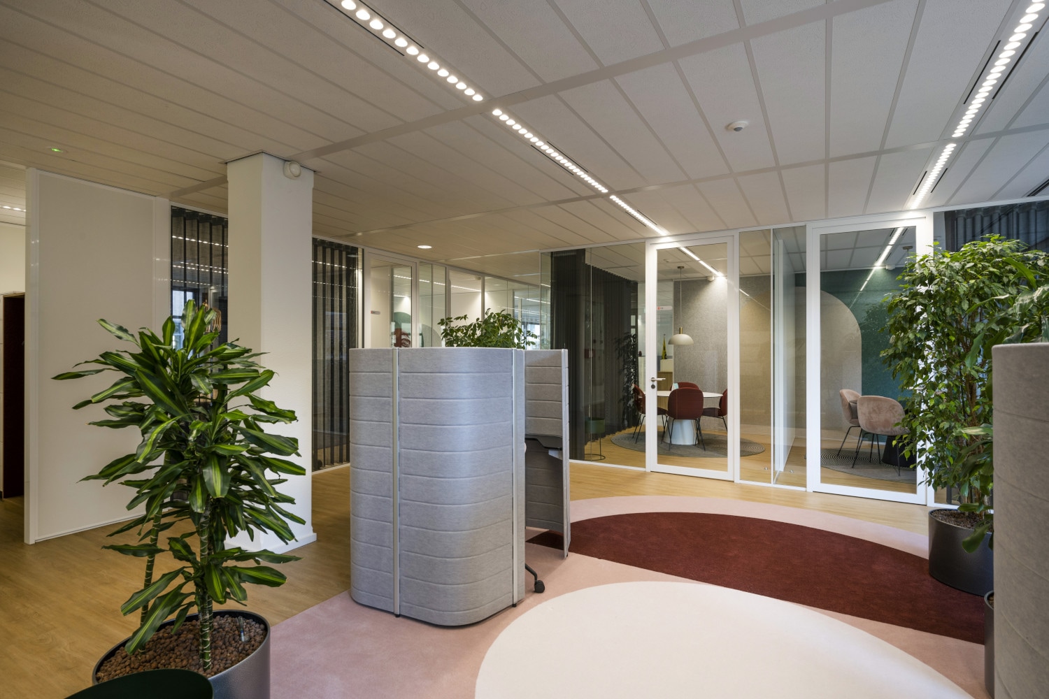 a room with a plant in the middle of it