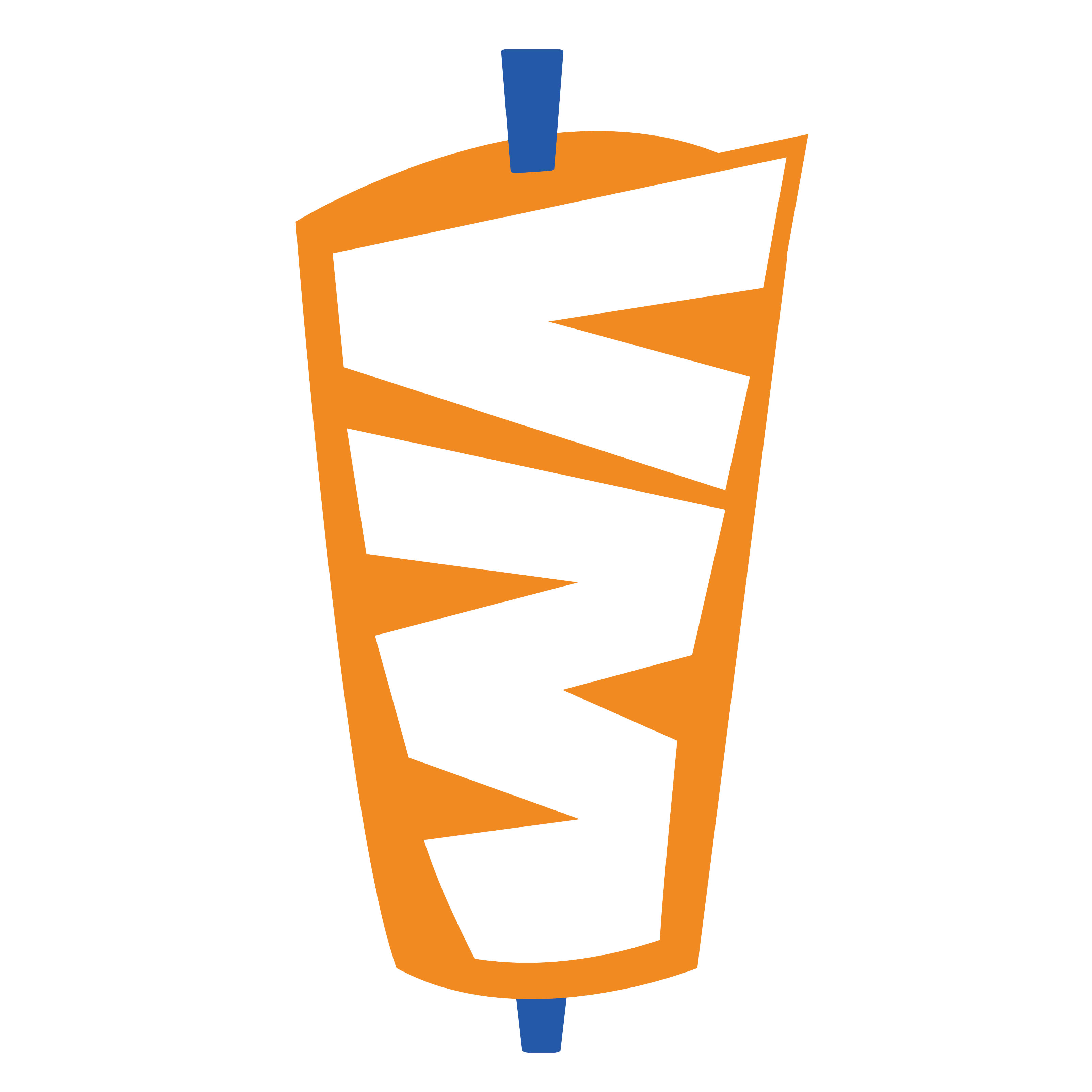 Villa Madina Logo