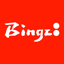Bingz Crispy Burger
