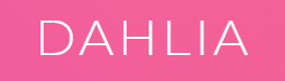 Dahlia