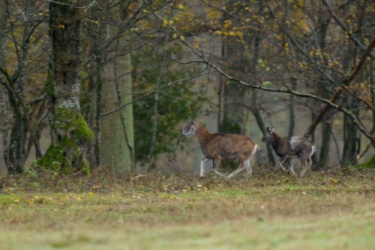 201211-Frankreich-9